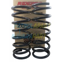 Coil Spring Pair 2