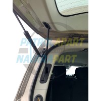 PAP-1005_53485