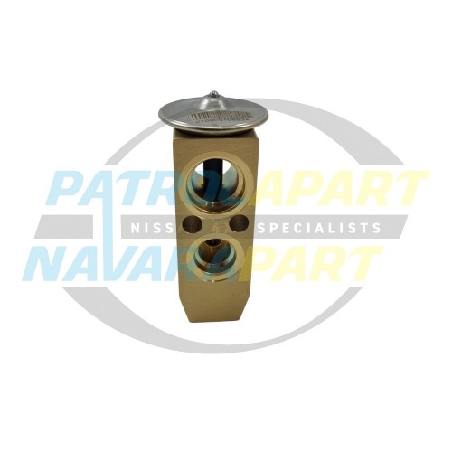 TX Valve on Firewall - Nissan Patrol GU Y61